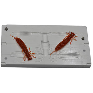 Mold B41 2 Cavity 3" inch / 75 mm